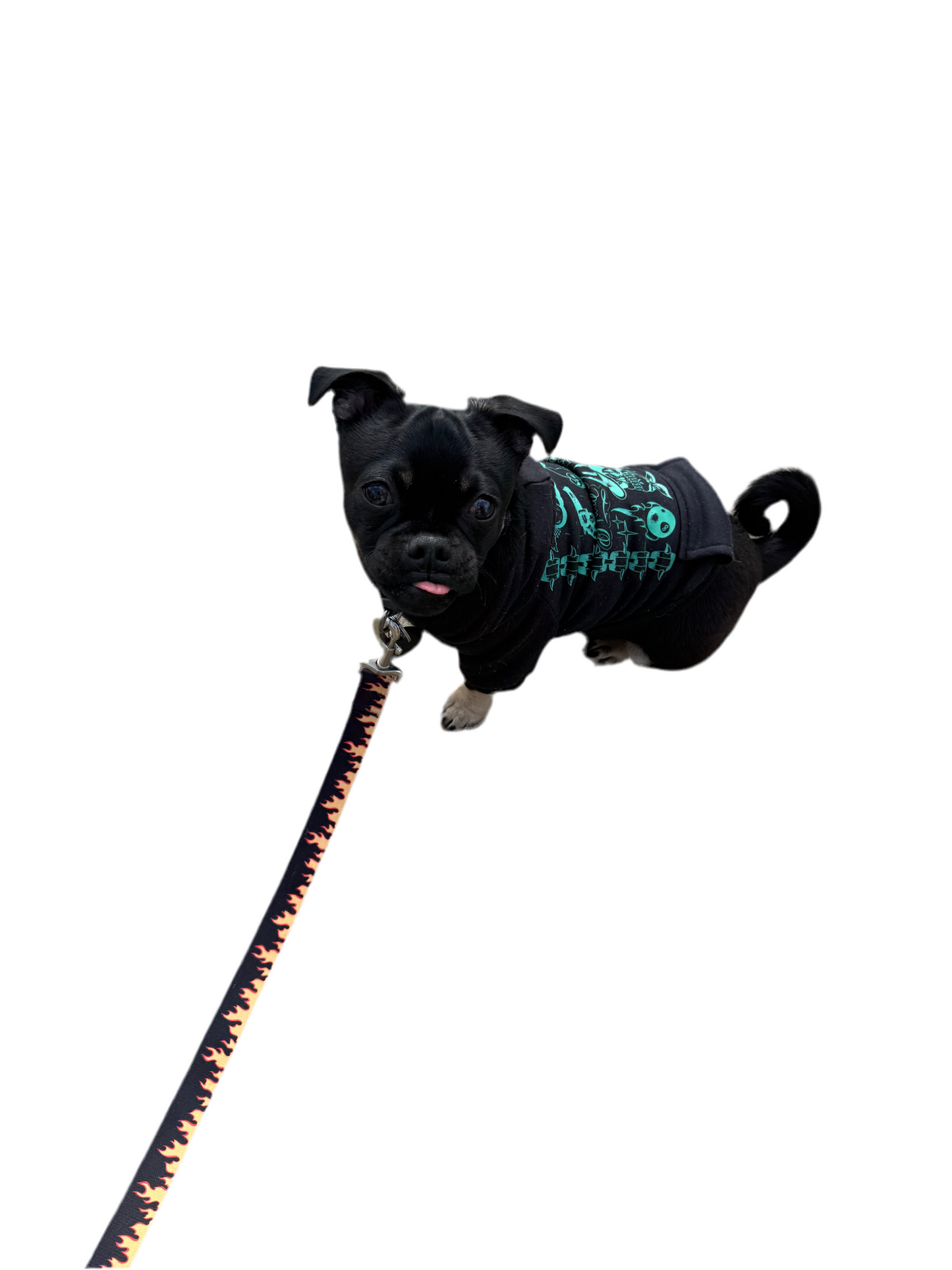 TOXIC COWBOY DOG HOODIE